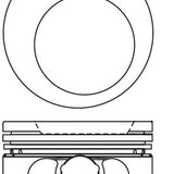 Piston & Pin Set HOLDEN C22NE 4P1279-1.00 - Nason
