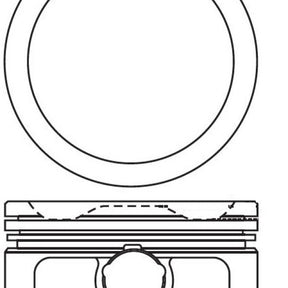 Piston & Pin Set HOLDEN C24SE 4P1286-STD - NASON