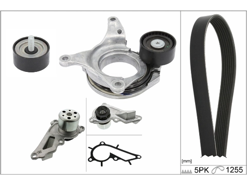 Water Pump + V-Ribbed Belt Kit 529054430 - INA