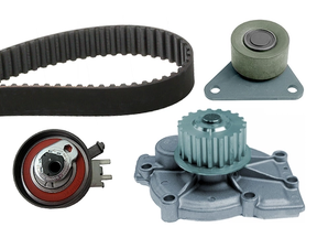 Water Pump & Timing Belt Kit 530006330 - INA
