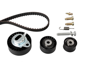 Timing Belt Kit 530010210 - INA