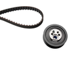 Timing Belt Kit 530015710 - INA