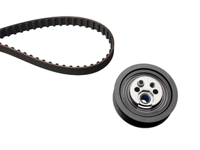 Timing Belt Kit 530015710 - INA