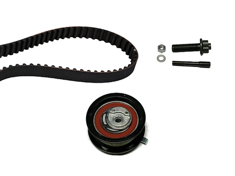 Timing Belt Kit 530016410 - INA