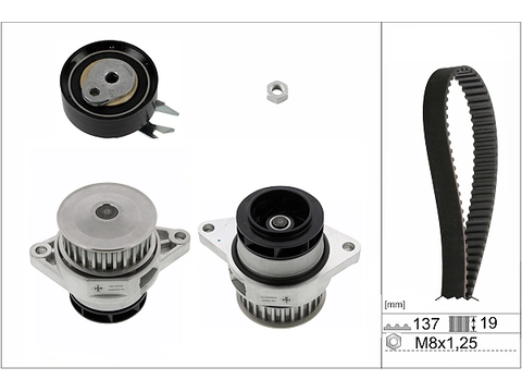 Water Pump & Timing Belt Kit 530016730 - INA