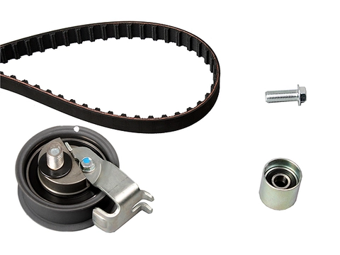 Timing Belt Kit 530017010 - INA