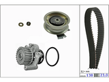 Water Pump & Timing Belt Kit 530017130 - INA