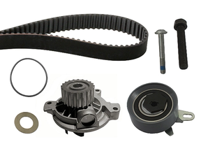 Water Pump & Timing Belt Kit 530017230 - INA