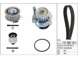 Water Pump & Timing Belt Kit 530020132 - INA