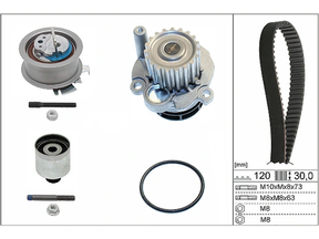 Water Pump & Timing Belt Kit 530020132 - INA