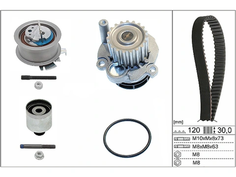 Water Pump & Timing Belt Kit 530020132 - INA