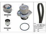 Water Pump & Timing Belt Kit 530020133 - INA