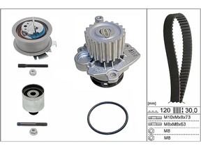 Water Pump & Timing Belt Kit 530020133 - INA