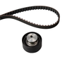 Timing Belt Kit 530022810 - INA