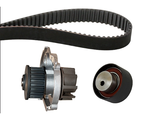 Water Pump & Timing Belt Kit 530022830 - INA