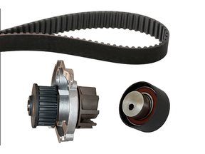 Water Pump & Timing Belt Kit 530022830 - INA