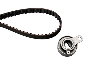 Timing Belt Kit 530026710 - INA