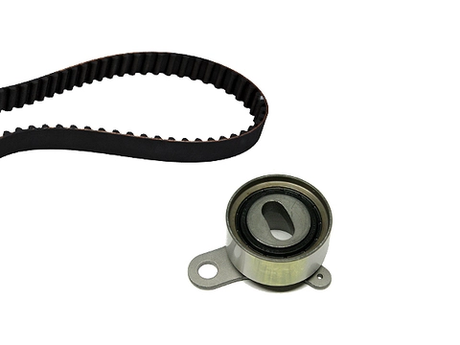 Timing Belt Kit 530027310 - INA