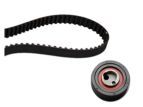 Timing Belt Kit 530032010 - INA