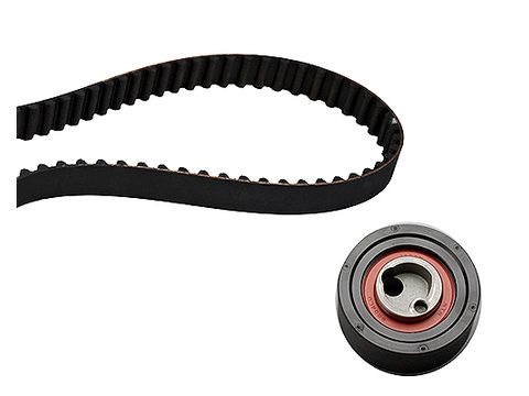 Timing Belt Kit 530032010 - INA