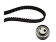 Timing Belt Kit 530032310 - INA