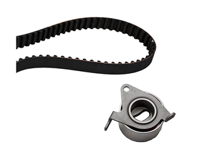 Timing Belt Kit 530032610 - INA