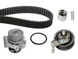 Water Pump & Timing Belt Kit 530034430 - INA