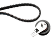 Timing Belt Kit 530034710 - INA