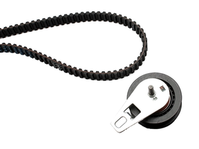 Timing Belt Kit 530034710 - INA