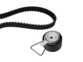 Timing Belt Kit 530037610 - INA
