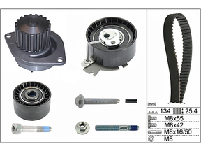 Water Pump & Timing Belt Kit 530037930 - INA