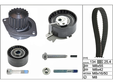 Water Pump & Timing Belt Kit 530037930 - INA
