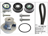 Water Pump & Timing Belt Kit 530044131 - INA