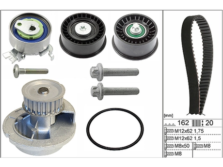 Water Pump & Timing Belt Kit 530044131 - INA