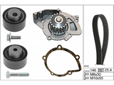 Water Pump & Timing Belt Kit 530044631 - INA