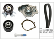 Water Pump & Timing Belt Kit 530044930 - INA