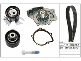 Water Pump & Timing Belt Kit 530044930 - INA