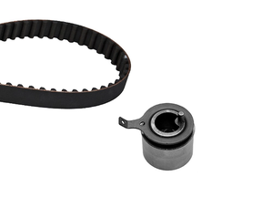 Timing Belt Kit 530045310 - INA