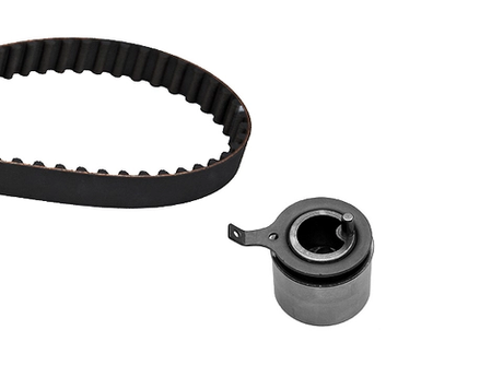 Timing Belt Kit 530045310 - INA