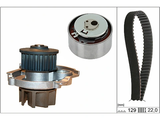 Water Pump & Timing Belt Kit 530046230 - INA