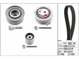 Timing Belt Kit 530046310 - INA