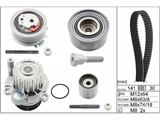 Water Pump & Timing Belt Kit 530046330 - INA