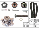 Water Pump & Timing Belt Kit 530048330 - INA