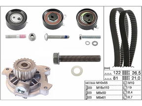 Water Pump & Timing Belt Kit 530048330 - INA