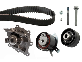 Water Pump & Timing Belt Kit 530048930 - INA