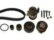 Water Pump & Timing Belt Kit 530050330 - INA