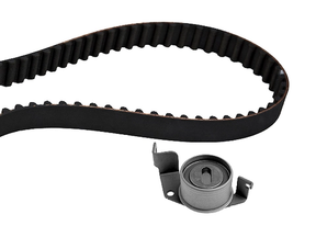 Timing Belt Kit 530054010 - INA