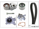 Water Pump & Timing Belt Kit 530054231 - INA