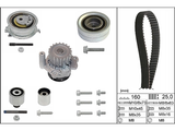 Water Pump & Timing Belt Kit 530055032 - INA