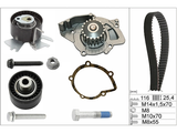 Water Pump & Timing Belt Kit 530055831 - INA